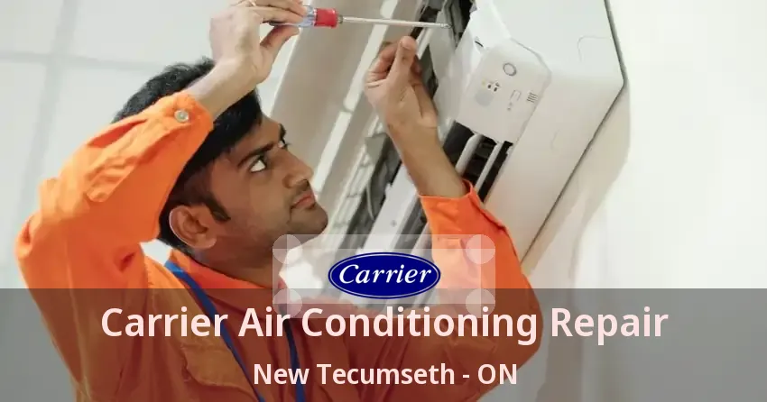 Carrier Air Conditioning Repair New Tecumseth - ON