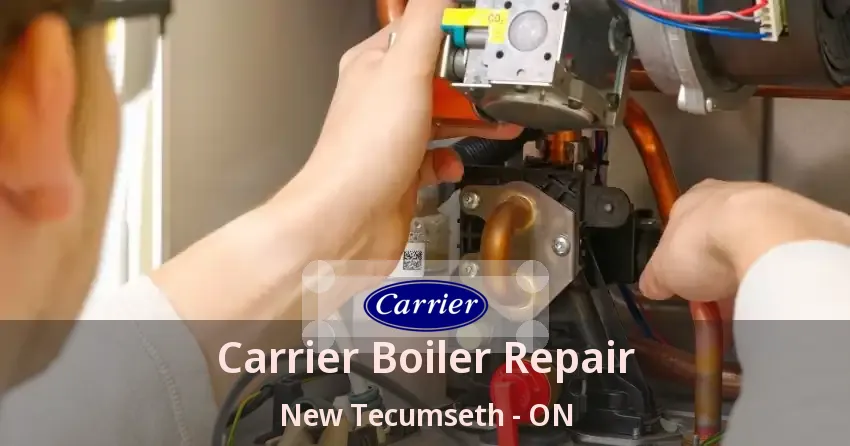 Carrier Boiler Repair New Tecumseth - ON