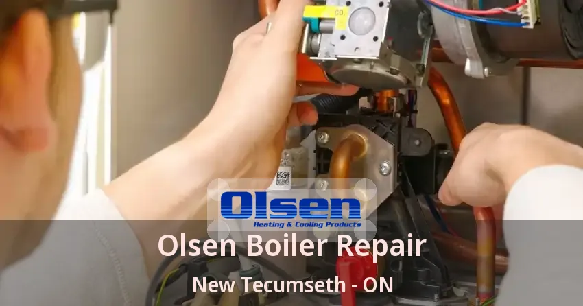 Olsen Boiler Repair New Tecumseth - ON