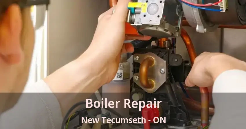 Boiler Repair New Tecumseth - ON