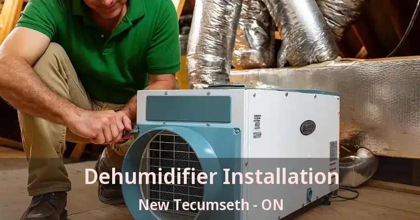 Dehumidifier Installation New Tecumseth - ON