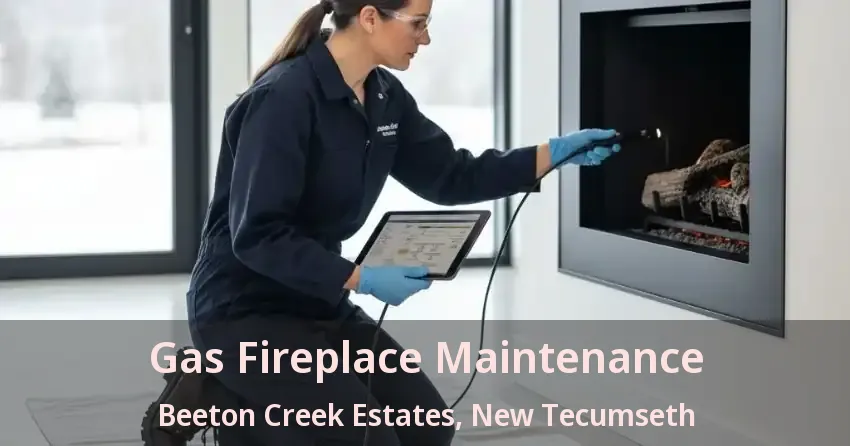 Gas Fireplace Maintenance Beeton Creek Estates, New Tecumseth - ON