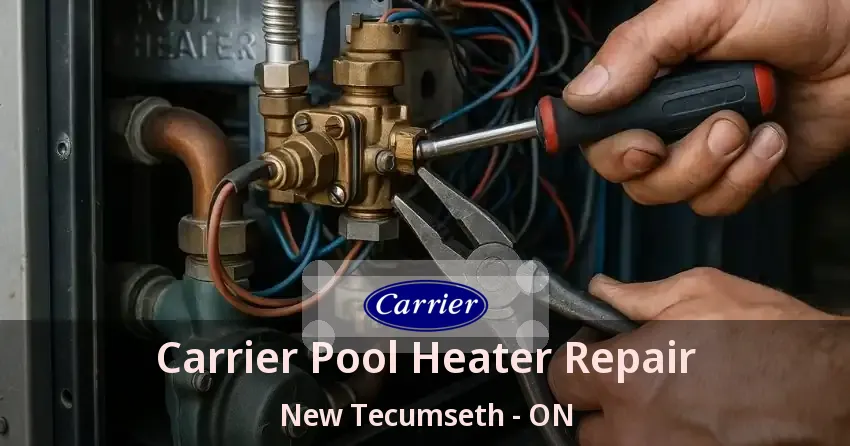 Carrier Pool Heater Repair New Tecumseth - ON