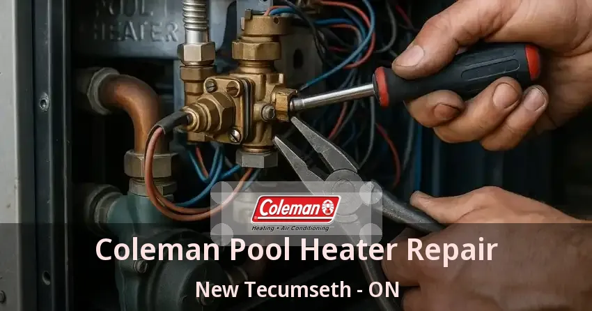 Coleman Pool Heater Repair New Tecumseth - ON